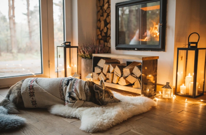 Dog relaxing by fireside