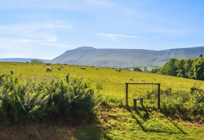 Stunning mountain view