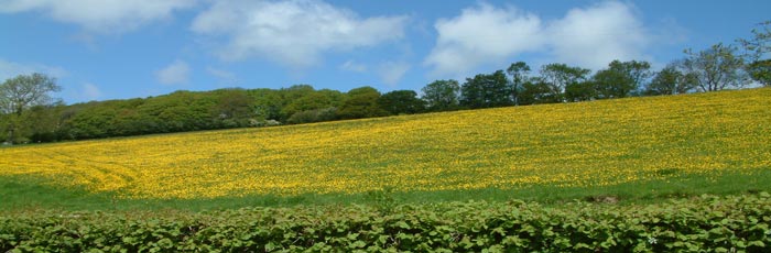 where holiday this year