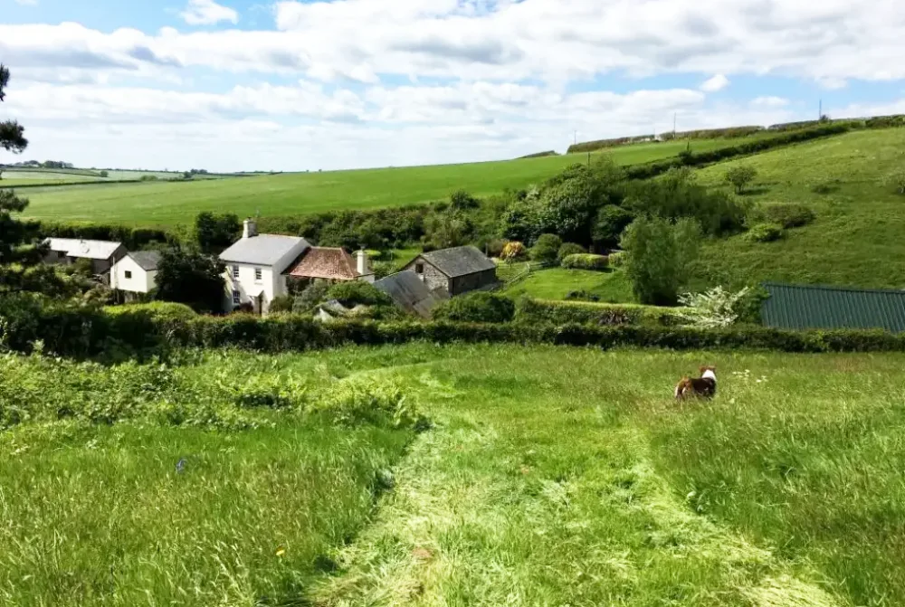 Dog-friendly holiday barn in countryside