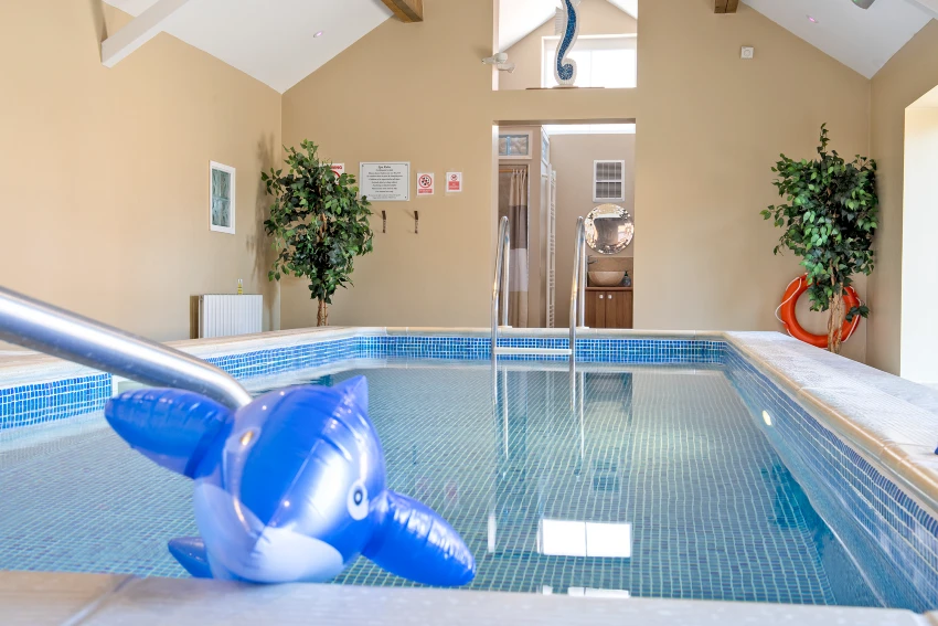 Dog-friendly rentals with pool