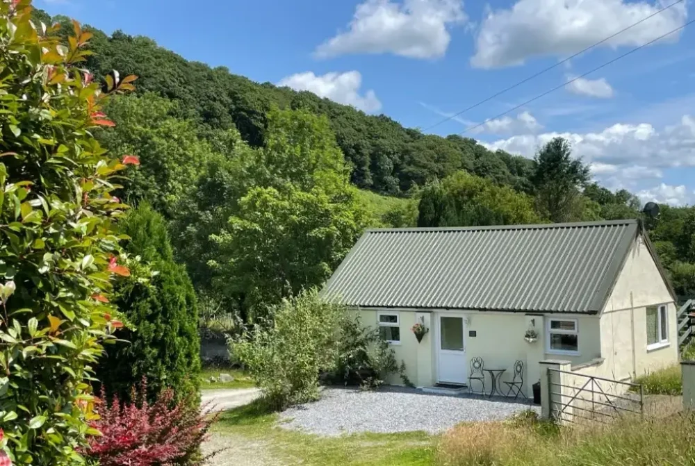 Dog welcome romantic retreat