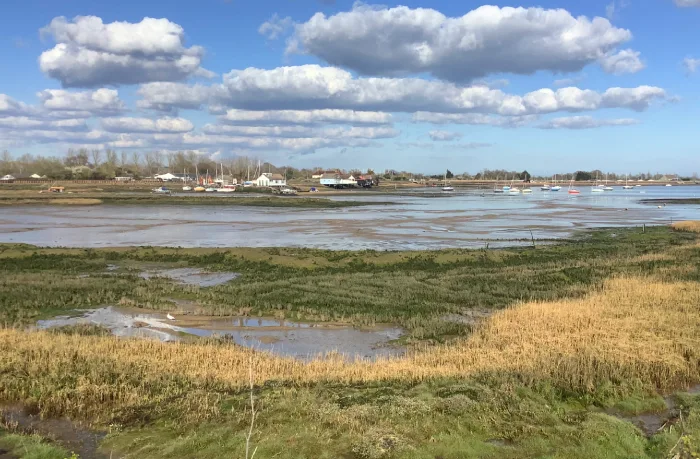 Essex coastline