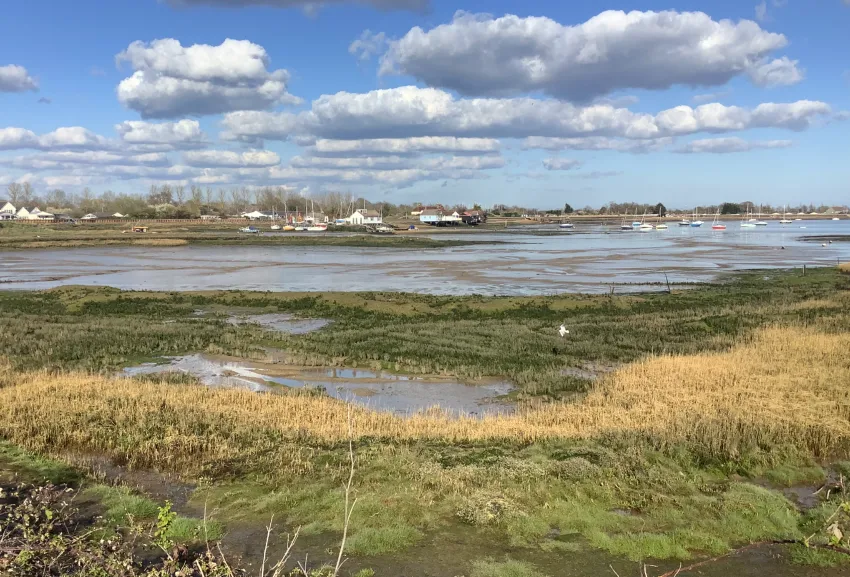 Coastline near Maldon