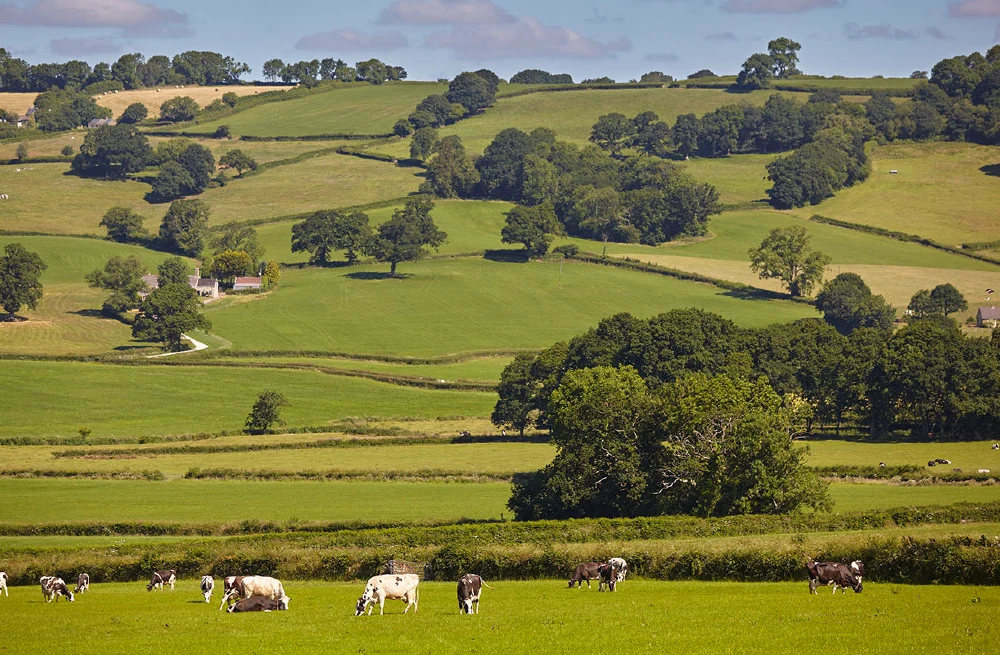 Stunning country views at Twistgates Farm in Devon