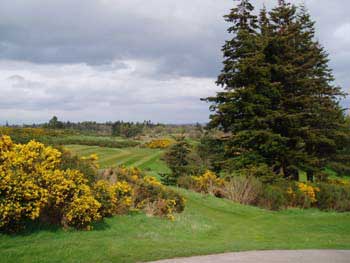 Gleneagles golf course in spring