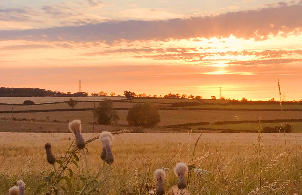 Countryside near Melton Mowbray