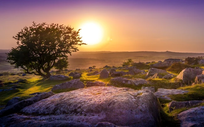 Dartmoor National Parks