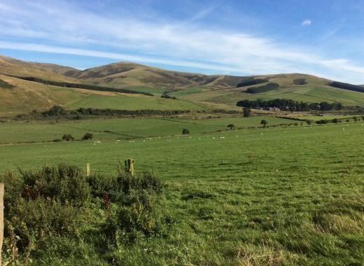 Cheviot Hills, ideal riding country