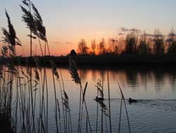 self-catering minsmere
