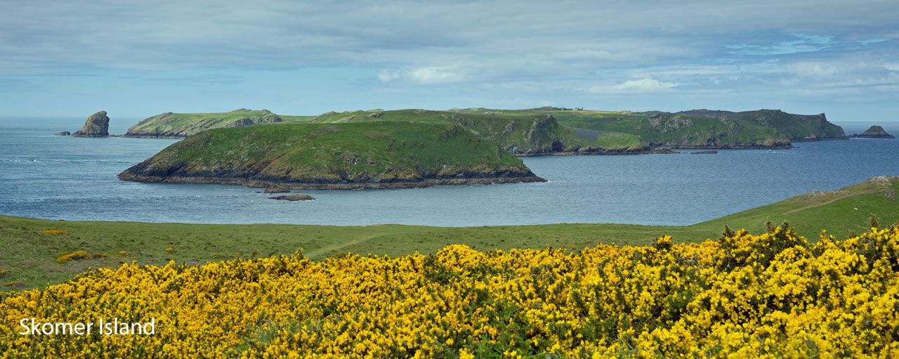 Skomer Island