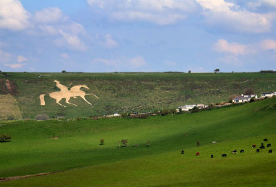 Beautiful Dorset countryside