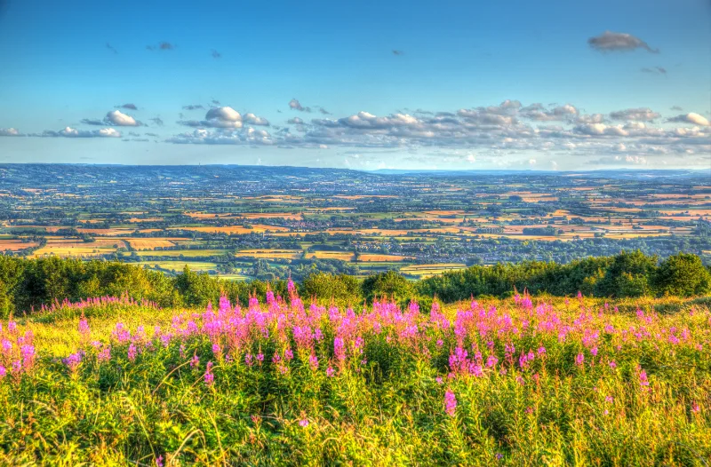 Quantock Hills, Somerset