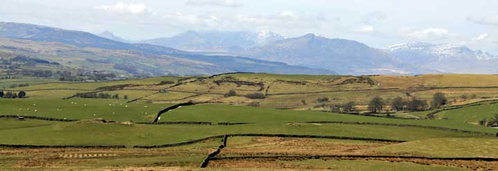 mansions and large houses wales