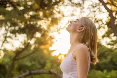 Forest bathing holidays