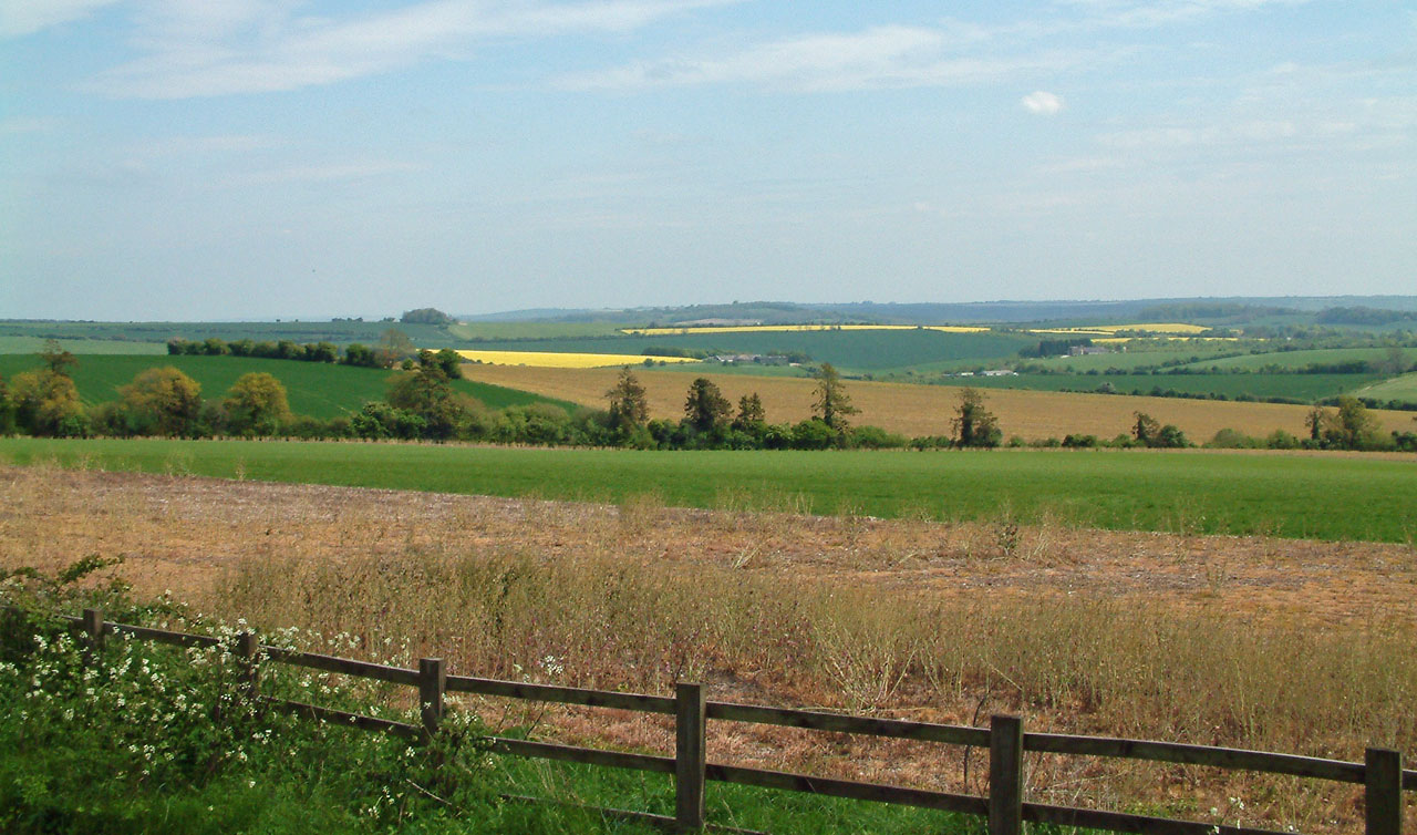 Wiltshire countryside