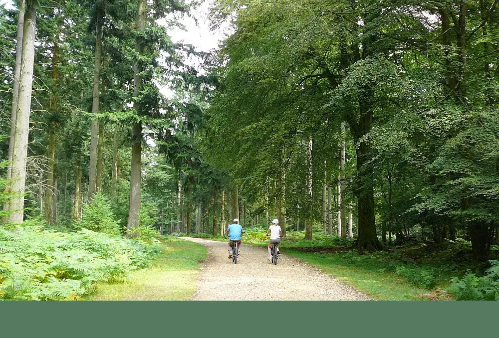 Traffic free biking trails in the New Forest, England