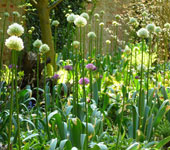 Beautiful country garden