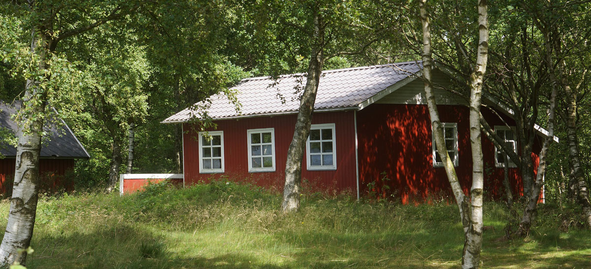 aviemore holiday homes