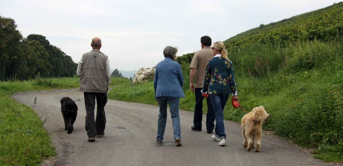 cheshire dog friendly holiday cottages