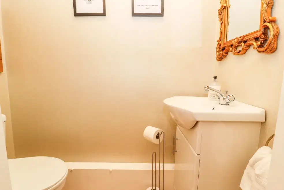 Loo at 12 Deva Terrace