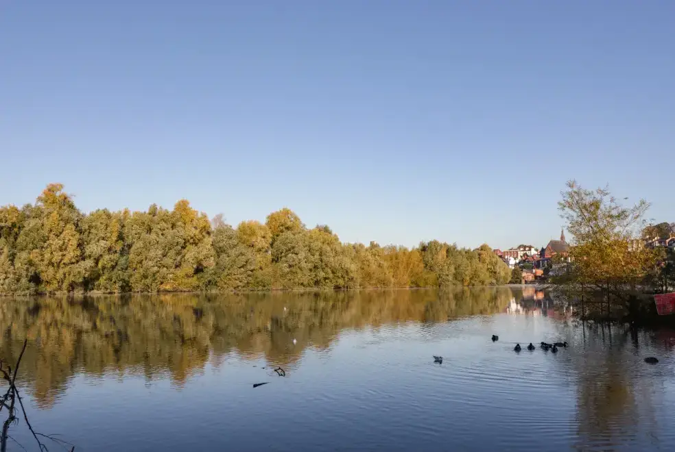 Lake view at 12 Deva Terrace