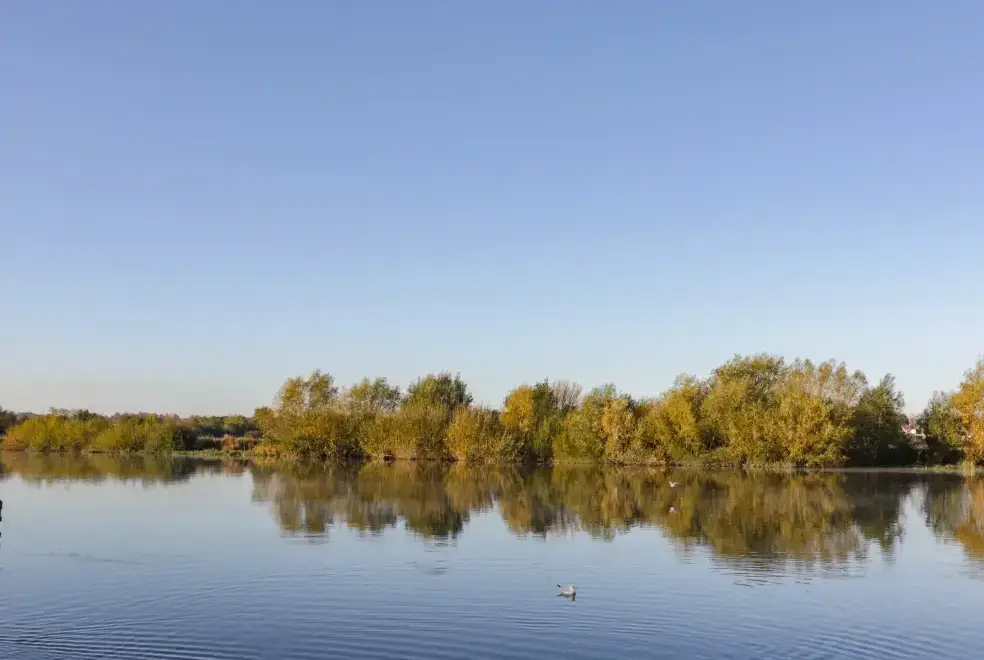 Lake view at 12 Deva Terrace