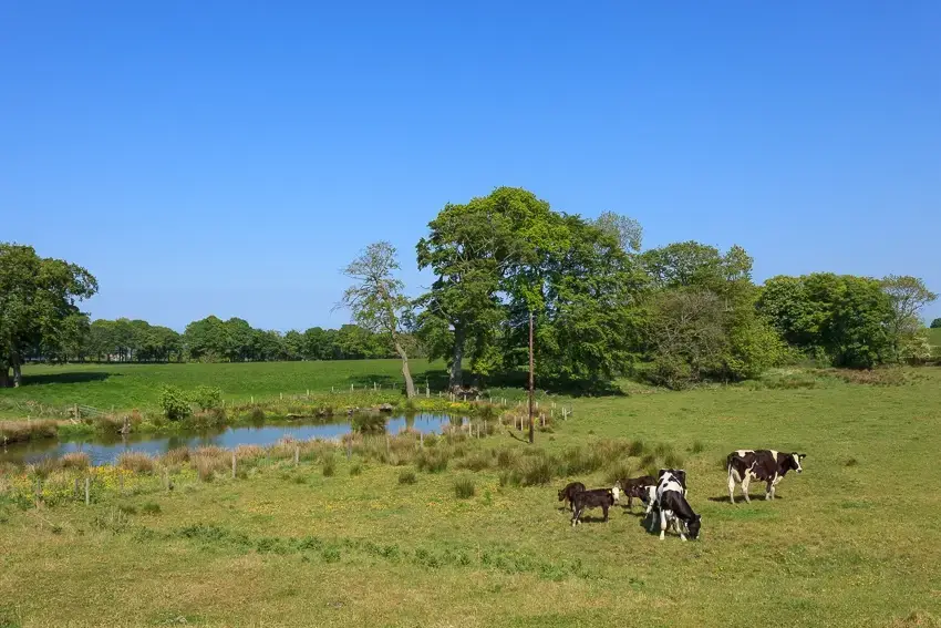 Countryside views at 3 Bedroom Rental at Williamscraig Holiday Cottages