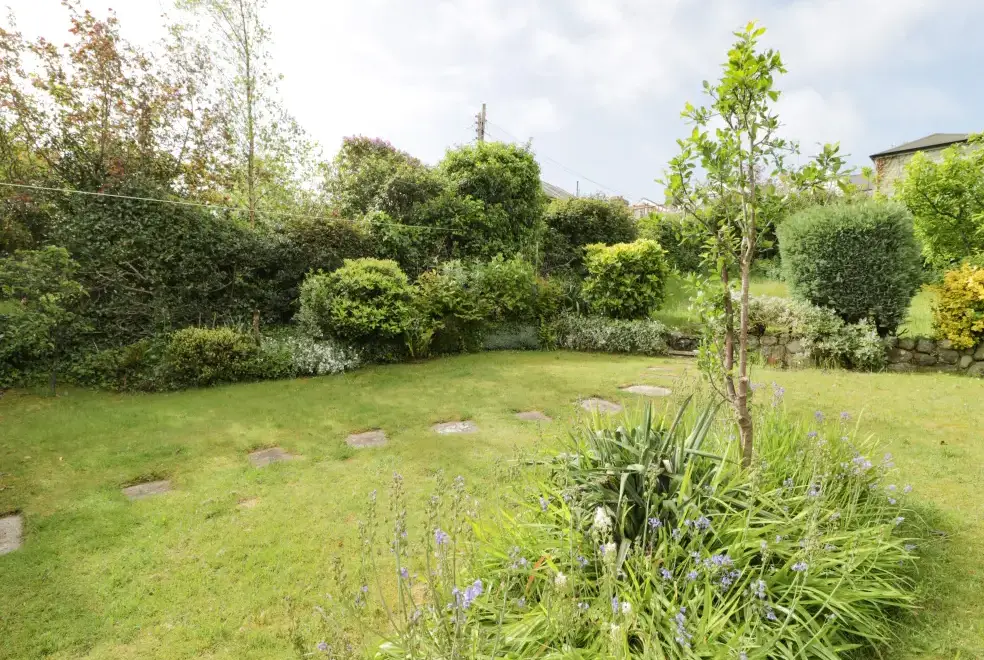 Garden at 5 Ivy Terrace