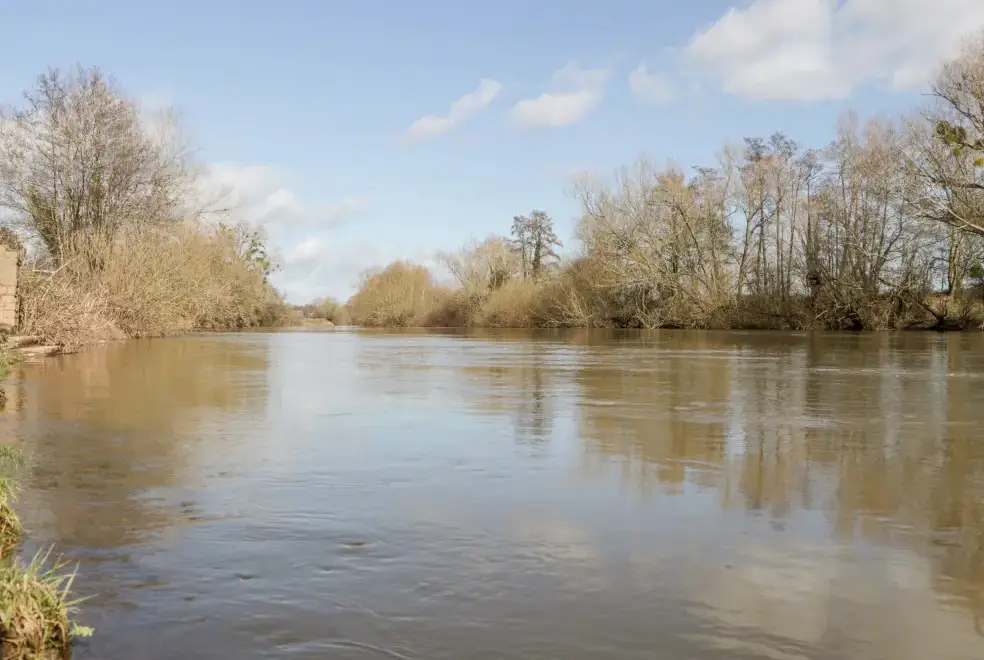 Countryside near 5 Wye Rapid Cottages