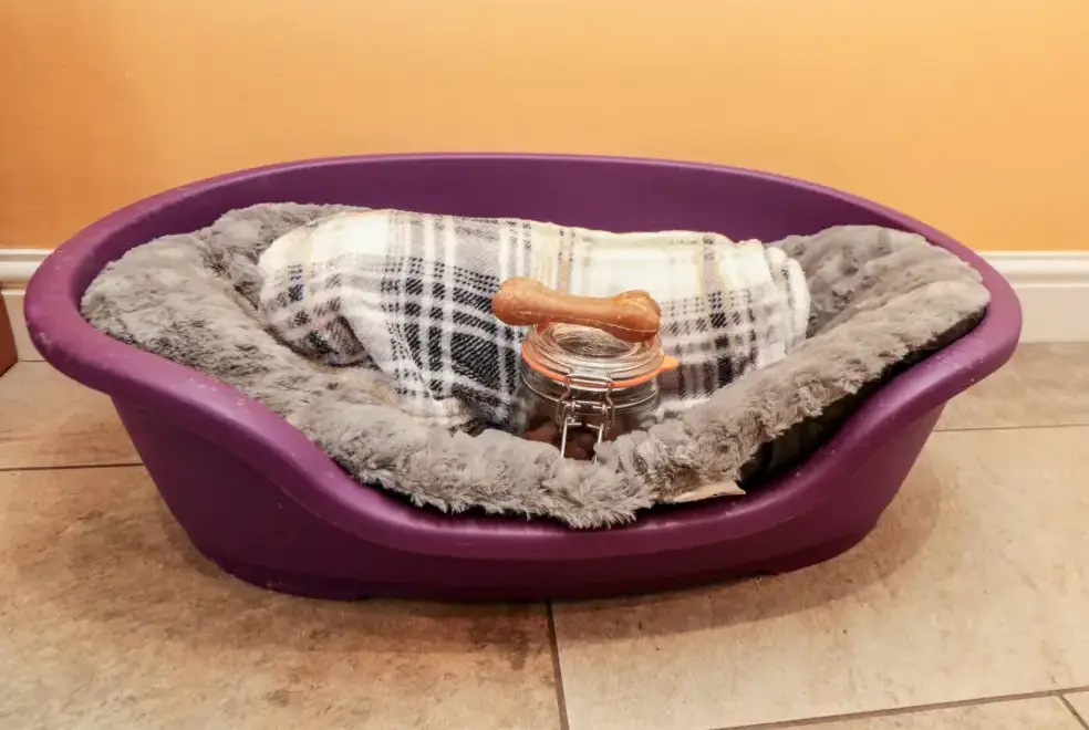  at 50 West Street Edelweiss