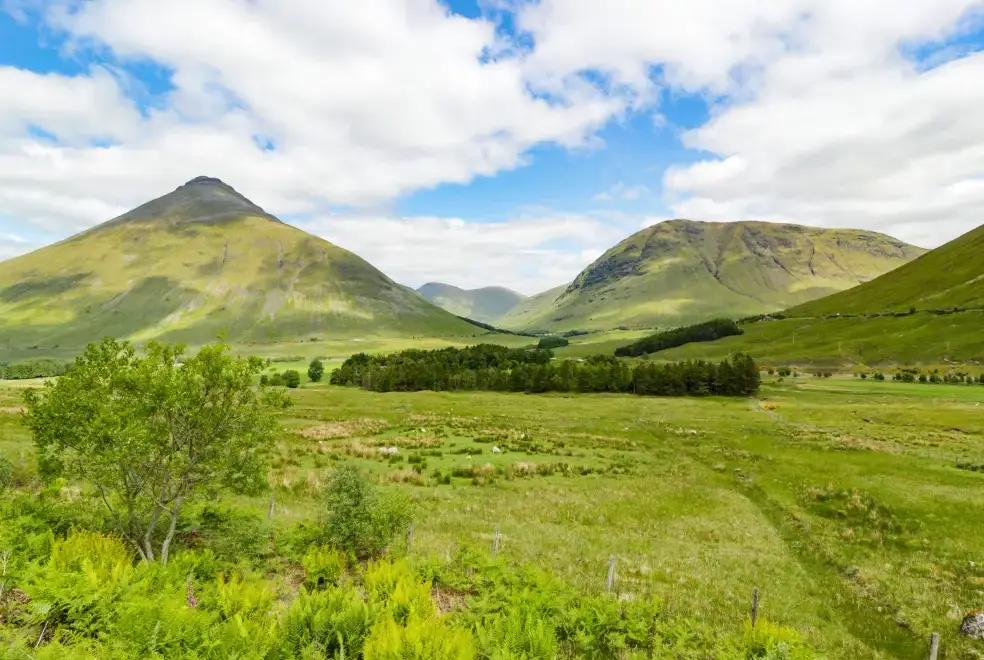 Countryside views at Alma Cottage