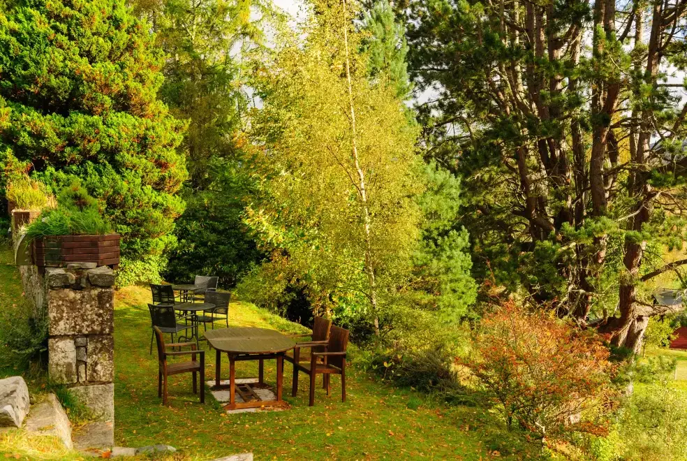 Garden furniture at Alvey House
