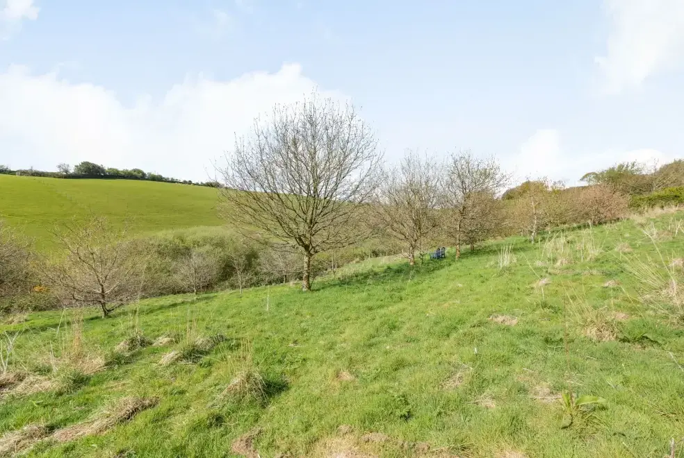 Countryside views at Apple Barn
