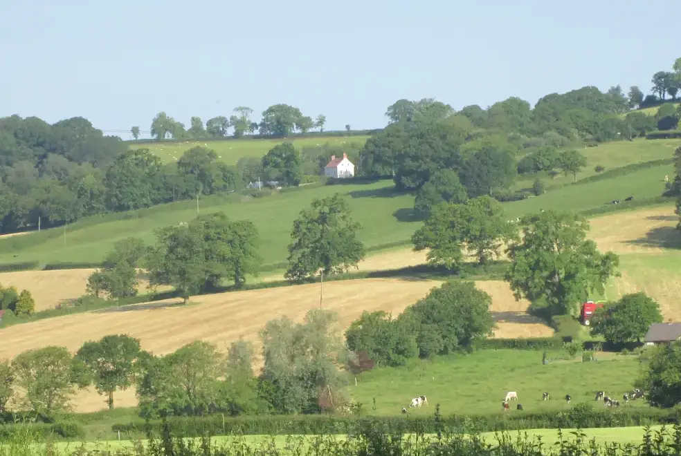Countryside views at Apple Loft at Twistgates Farm Cottages