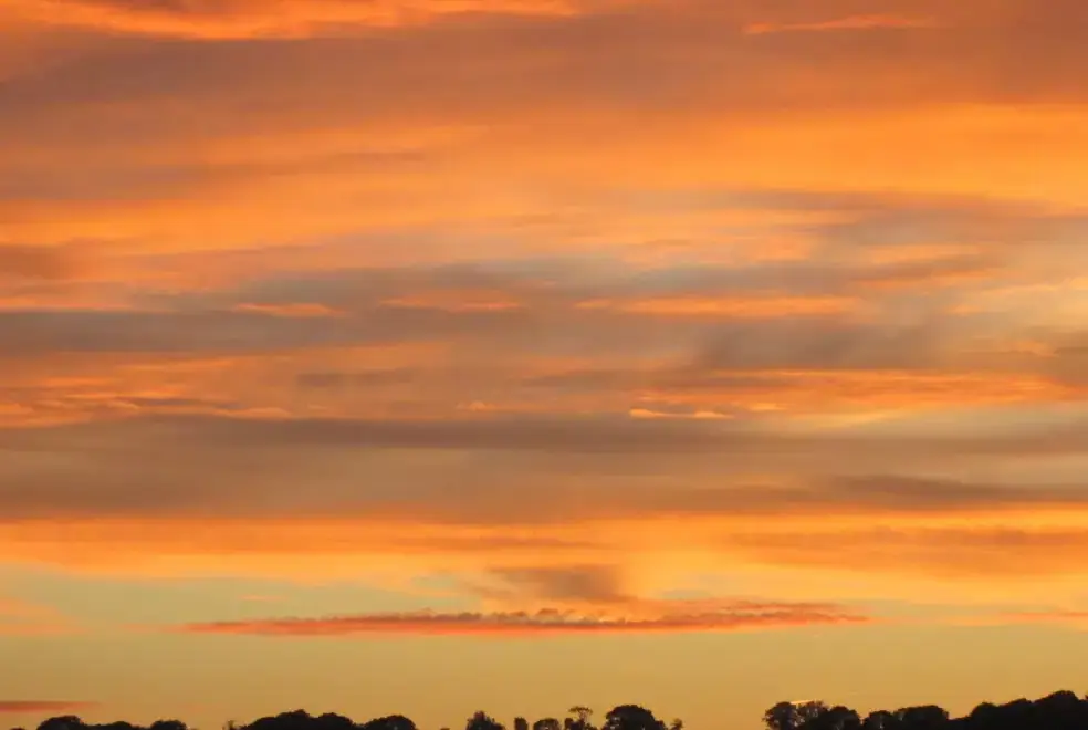 Countryside near Apple Loft at Twistgates Farm Cottages