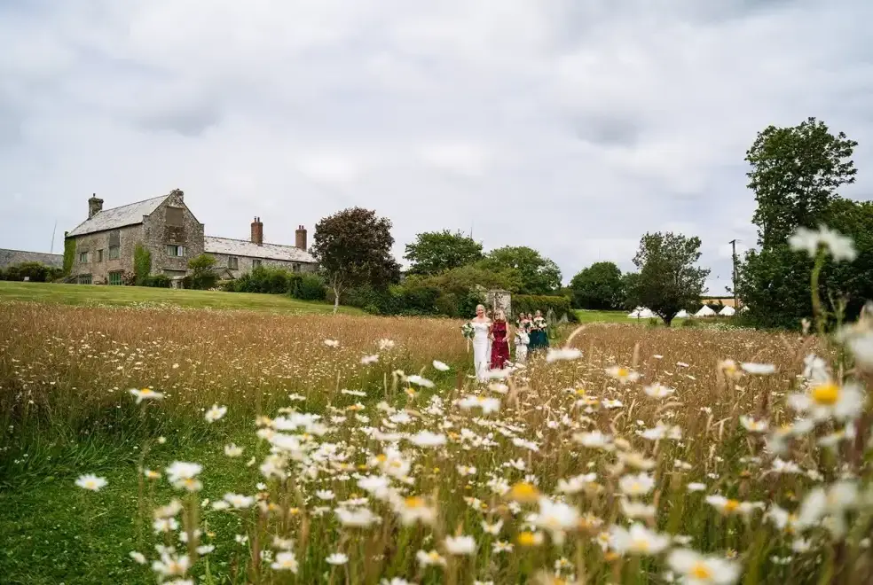 Ash Barton Estate with pool, Devon, Photo 15