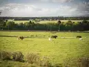 Countryside views at Aurae - thumbnail photo