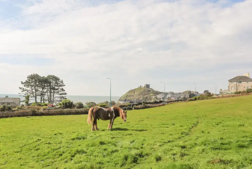 Countryside views at Awelfryn
