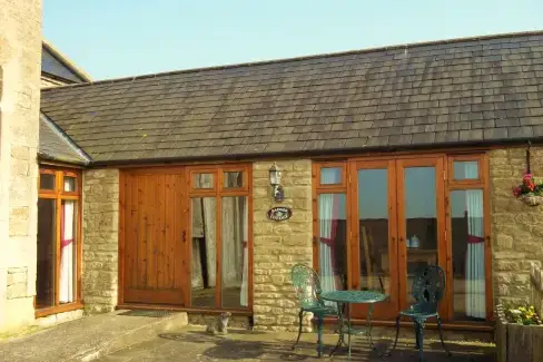 Badger at Coombe Barn Cottages, Somerset,  England