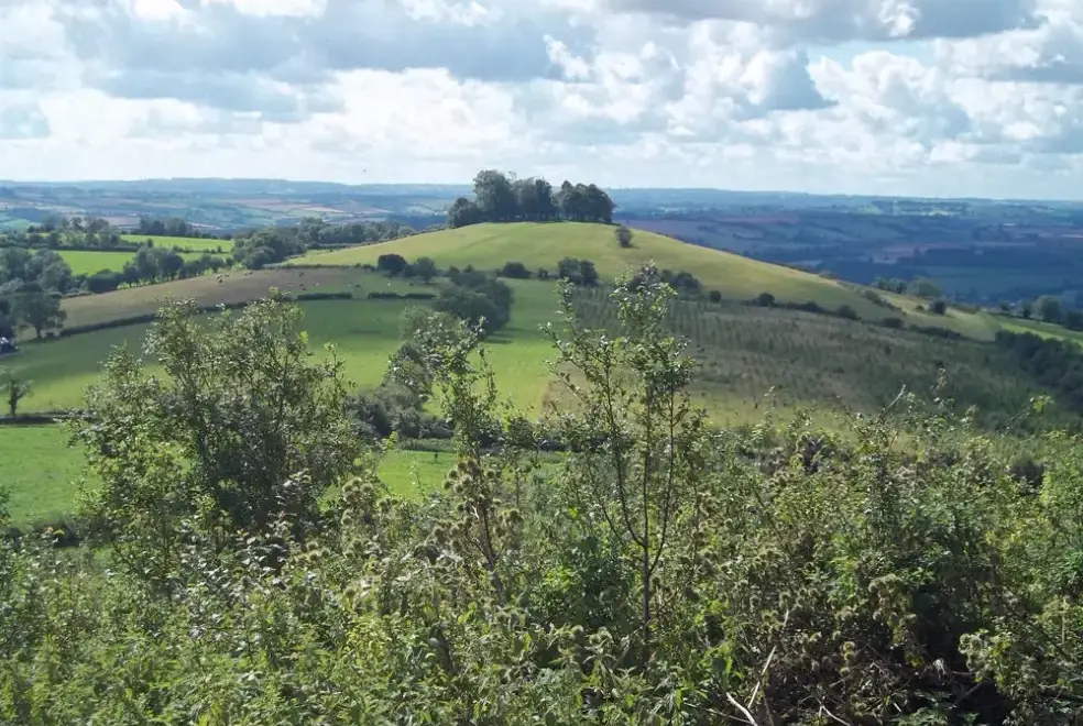 Countryside views at Badger at Coombe Barn Cottages