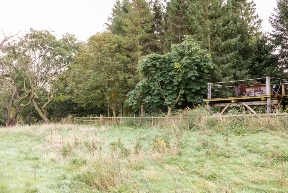 Countryside near Badgers Sett