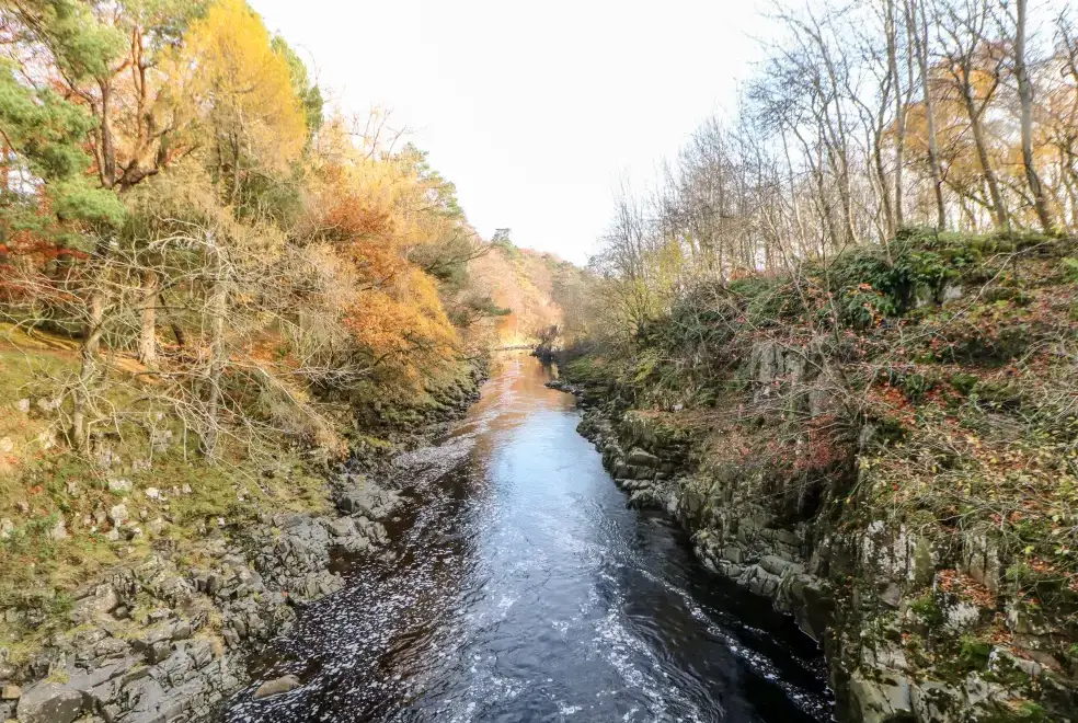 Countryside near Badgers Sett