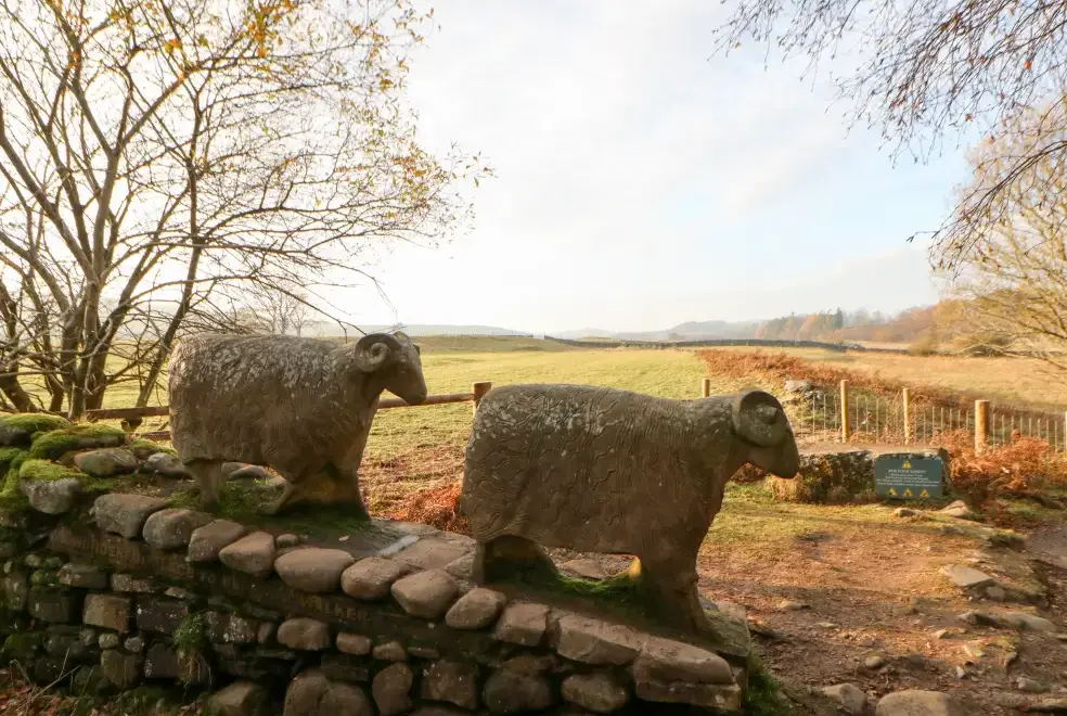 Countryside near Badgers Sett