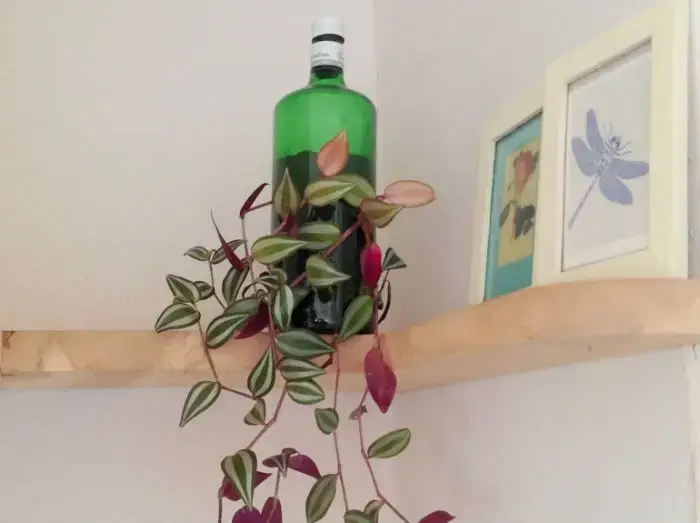 Luxurious interior at Balebarn Eco Lodge