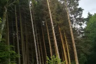 Cottages with parking in Wales