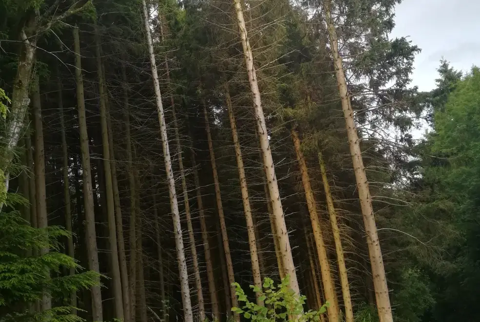 Countryside near Barlings Barn