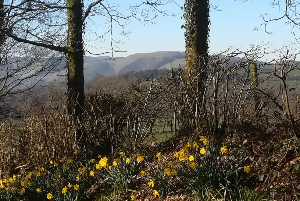 Countryside views at Barlings Barn
