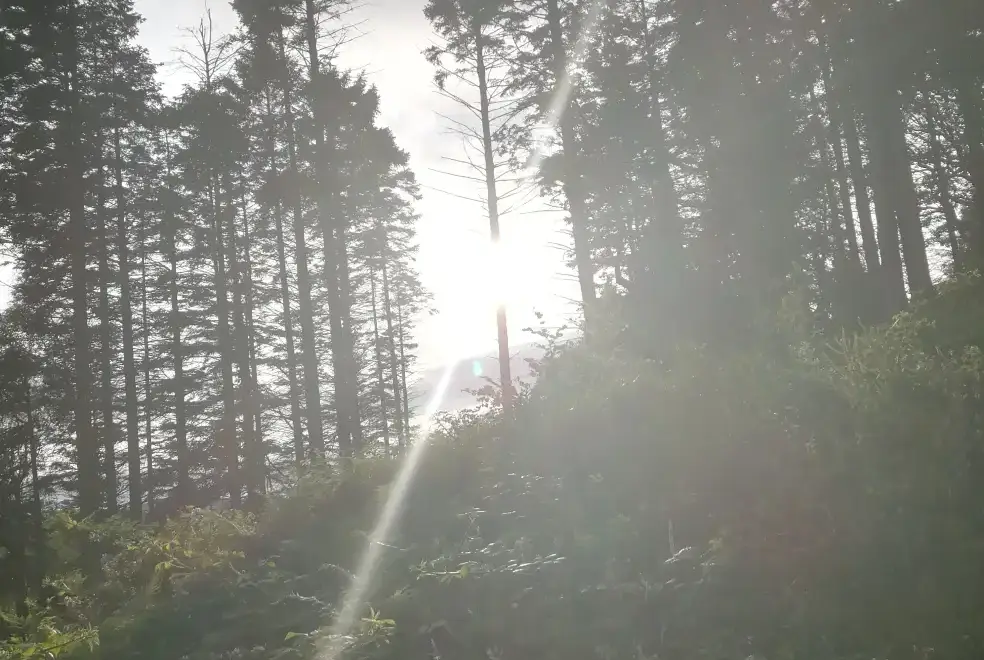 Countryside views at Barlings Barn