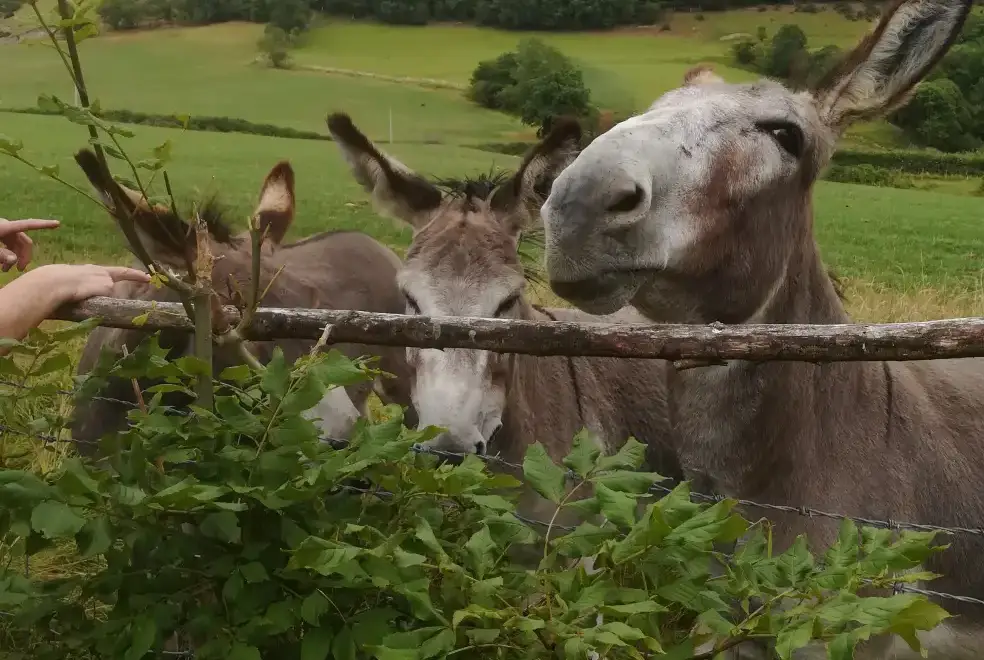 Countryside near Barlings Barn